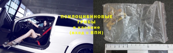 бошки Алексин