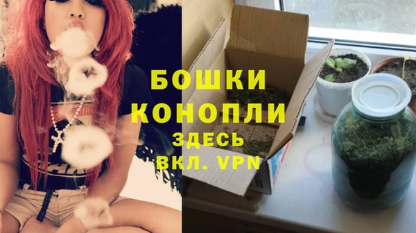 бошки Алексин