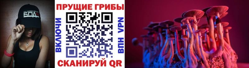 Галлюциногенные грибы прущие грибы Елабуга