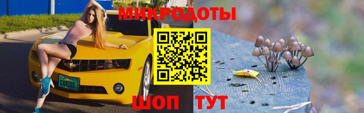 Галлюциногенные грибы мицелий Елабуга