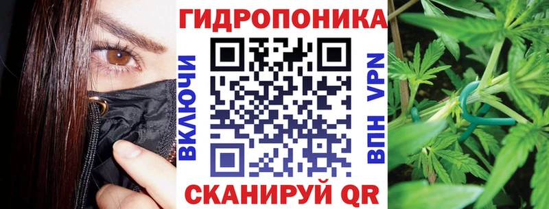 Конопля план  где купить наркоту  МЕГА зеркало  Елабуга 